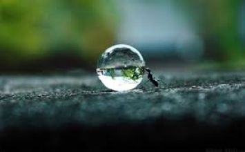 Hãy là chính mình, đừng nhìn người khác